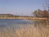 Lobsigensee - UNESCO-Welterbe