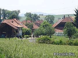 Grissenberg, Wiler